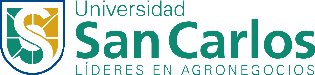 Mi sitio web